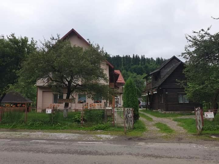 Villa Ileana Ceahlău Dış mekan fotoğraf