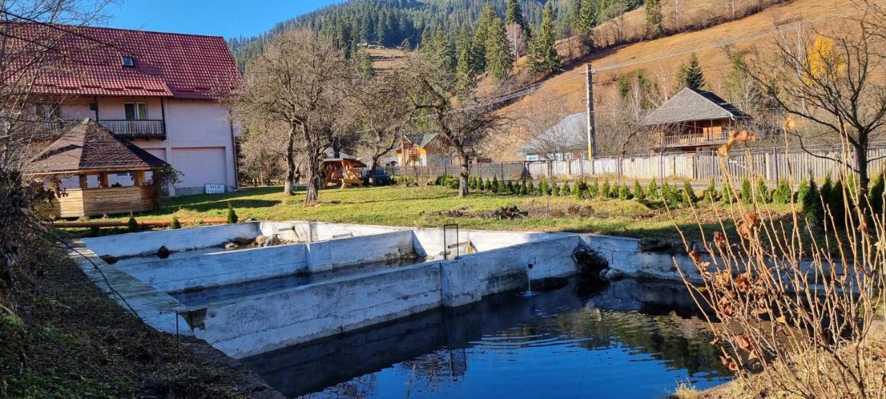 Villa Ileana Ceahlău Dış mekan fotoğraf