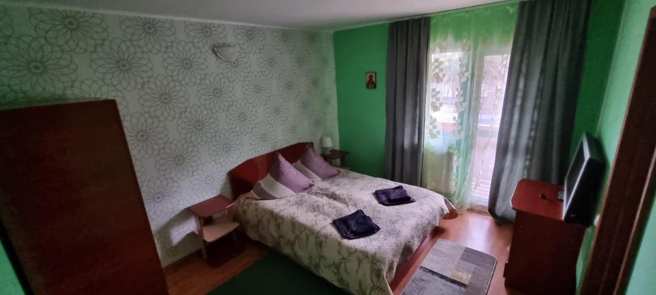 Villa Ileana Ceahlău Dış mekan fotoğraf