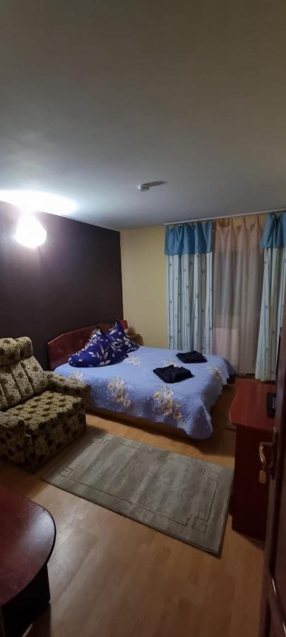 Villa Ileana Ceahlău Dış mekan fotoğraf
