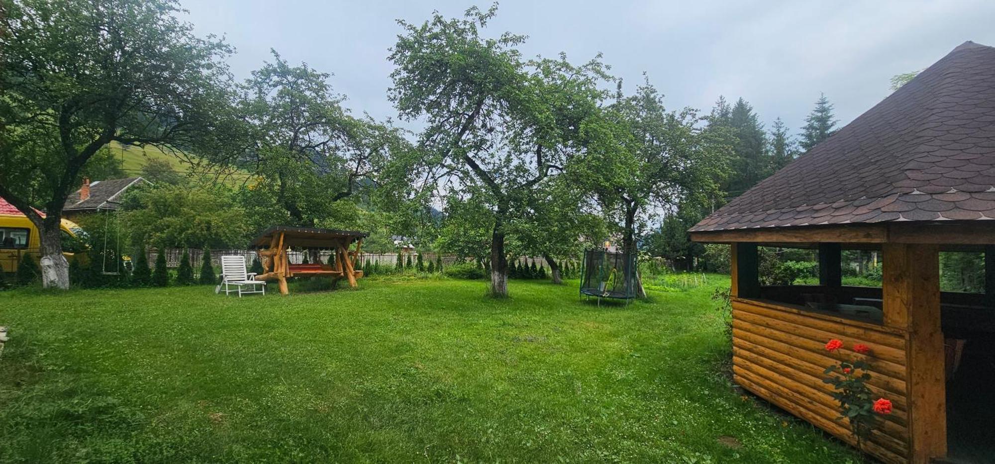 Villa Ileana Ceahlău Dış mekan fotoğraf