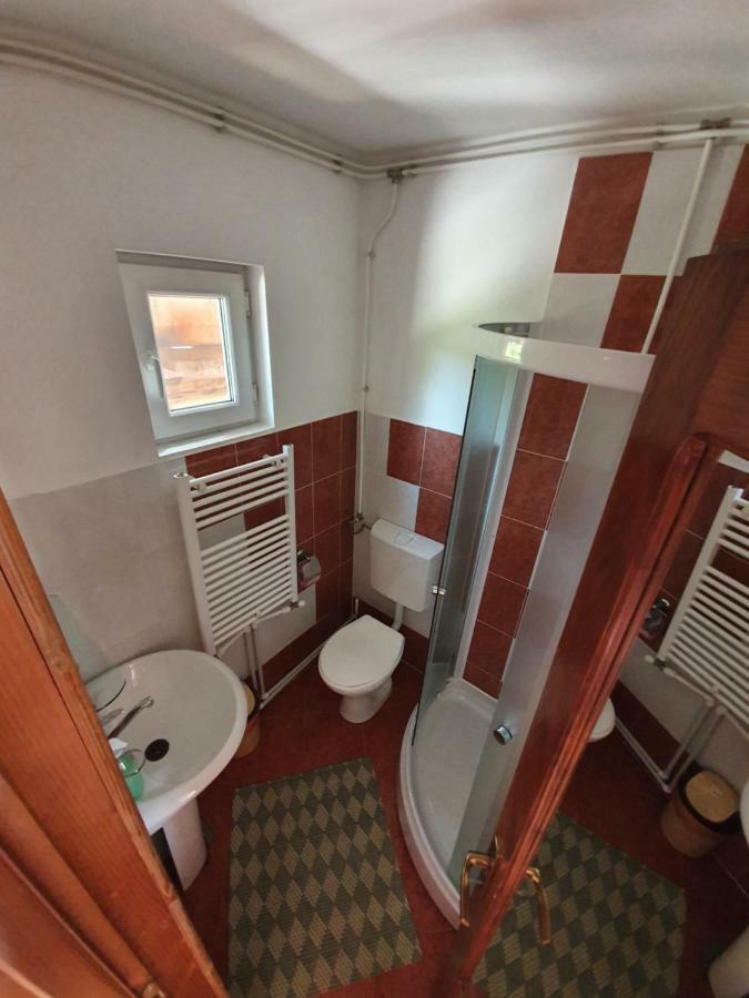 Villa Ileana Ceahlău Dış mekan fotoğraf
