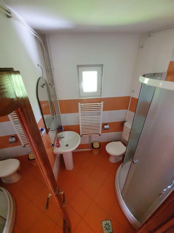 Villa Ileana Ceahlău Dış mekan fotoğraf