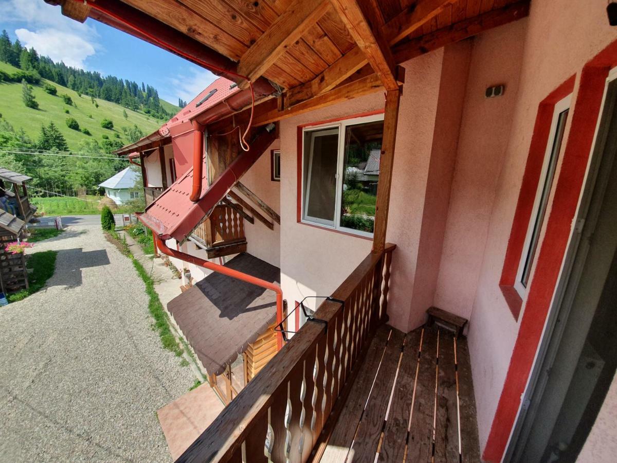 Villa Ileana Ceahlău Dış mekan fotoğraf