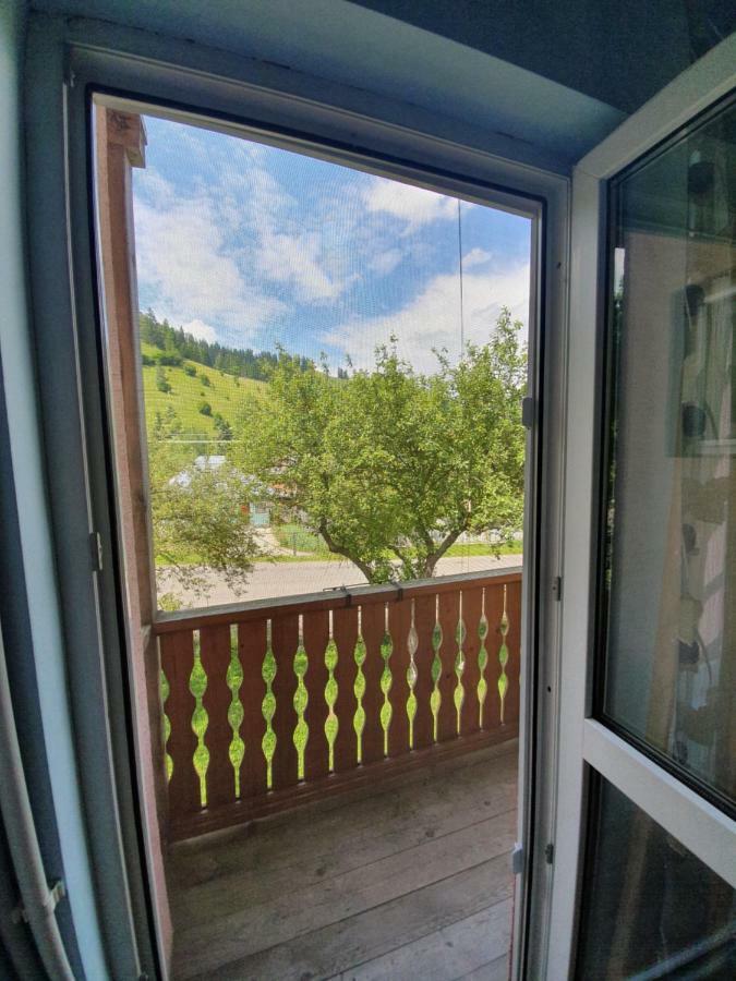 Villa Ileana Ceahlău Dış mekan fotoğraf