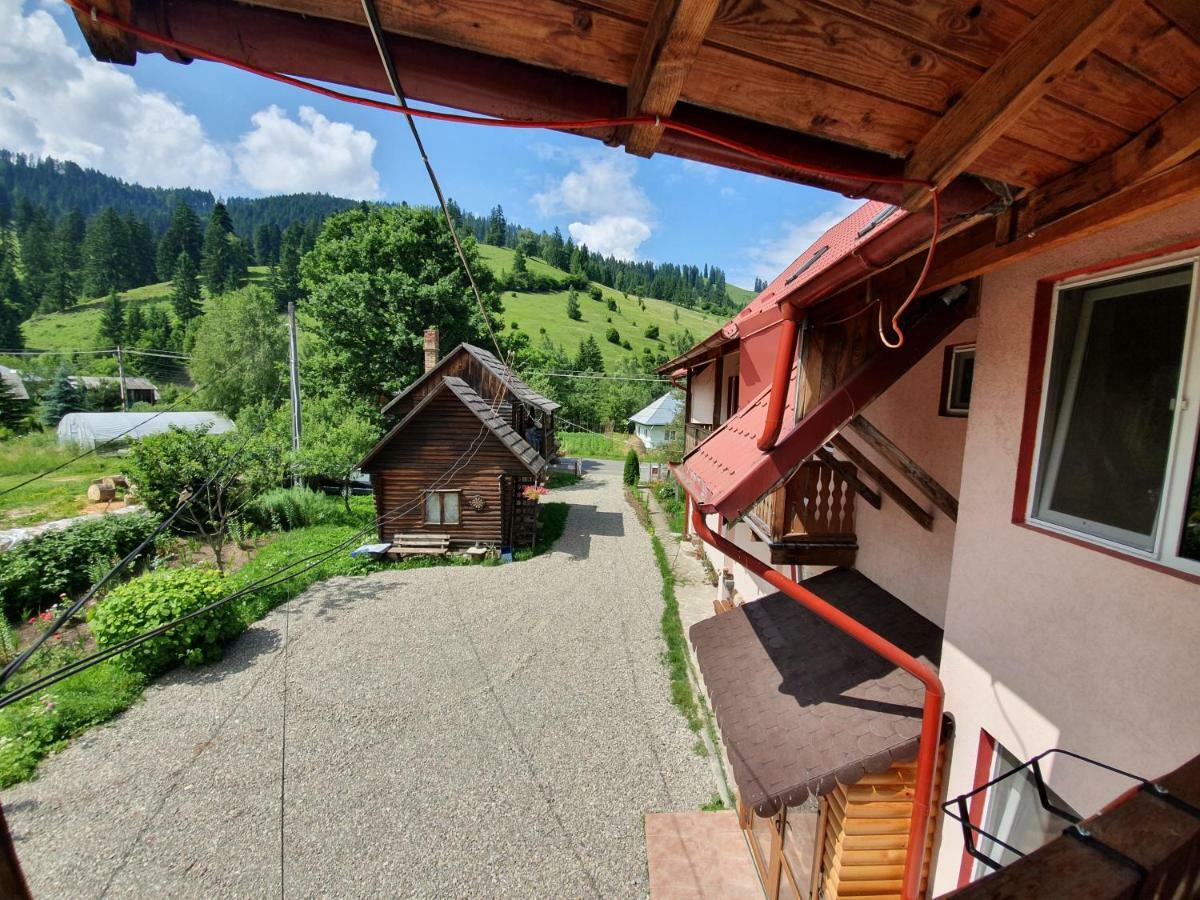 Villa Ileana Ceahlău Dış mekan fotoğraf