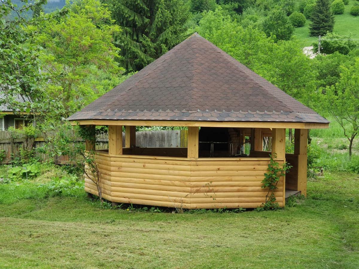 Villa Ileana Ceahlău Dış mekan fotoğraf